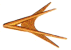 Previous Site In Web Ring