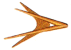 Next Site In Web Ring